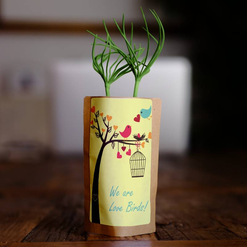 Gift Us a Forest – 200 Trees to Celebrate Our Love – “We Are Love Birds”